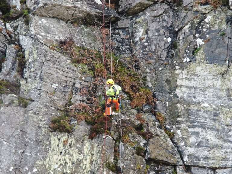 rope access ecology