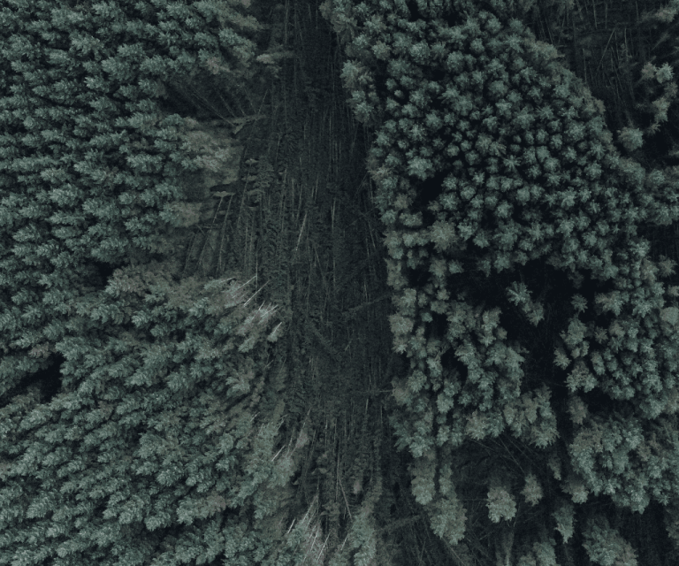 drones in forestry storm damage inspection