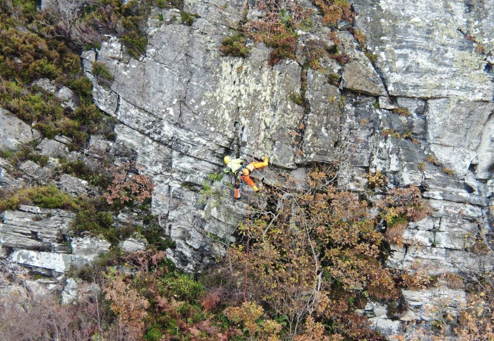 rope access rhododendron